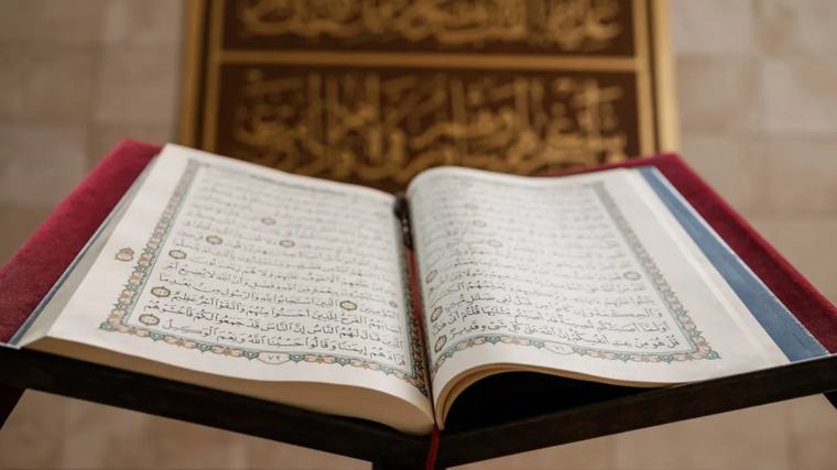 إلى من يريد الخير والفلاح