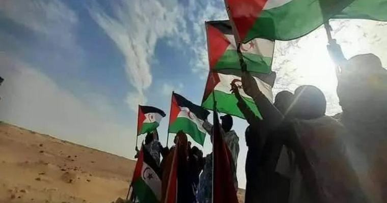 إيطاليا - القضية الصحراوية حاضرة في مهرجان "البندقية" السينمائي الدولي